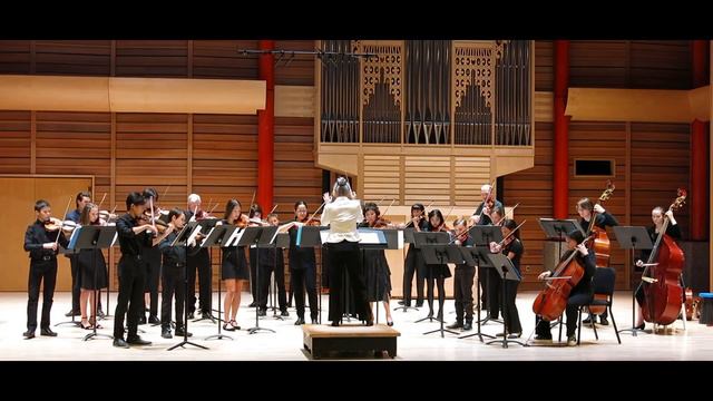 Palladio for String Orchestra by Allegreto by Karl Jenkins смотреть онлайн
