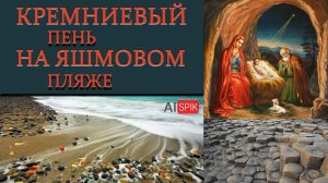 Кремниевый ПЕНЬ на ЯШМОВОМ пляже