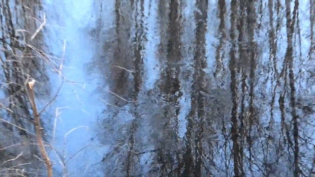 В поисках бобра))) Борский лесхоз. Нижегородская обл. смотреть онлайн