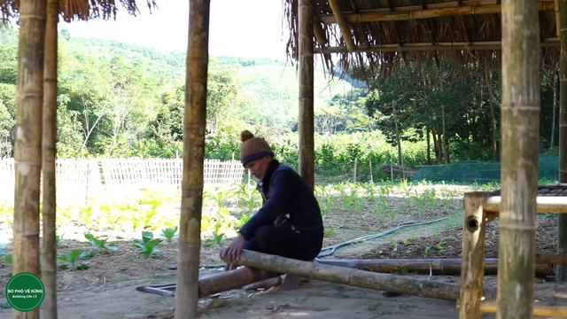 Complete 90% of the simple kitchen for grandparents, use bamboo as a wall for the kitchen смотреть онлайн