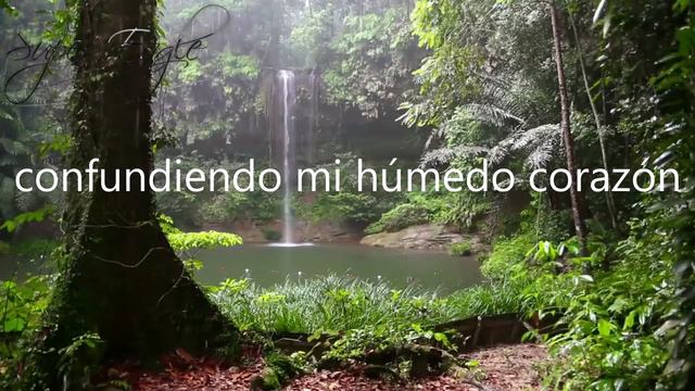 Aoi Teshima - Ame | Sub Español смотреть онлайн