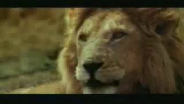 how to spot a blond antelope смотреть онлайн