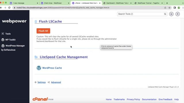 How To Clear Cache On WordPress - Website Not Loading Correctly смотреть онлайн