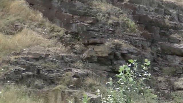 бывшая речка в новошахтинске смотреть онлайн