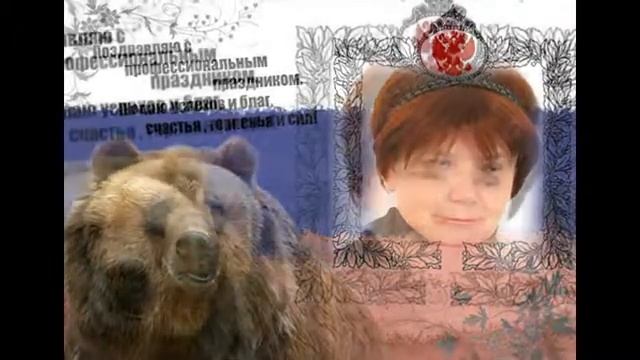 Медведь хозяин леса смотреть онлайн