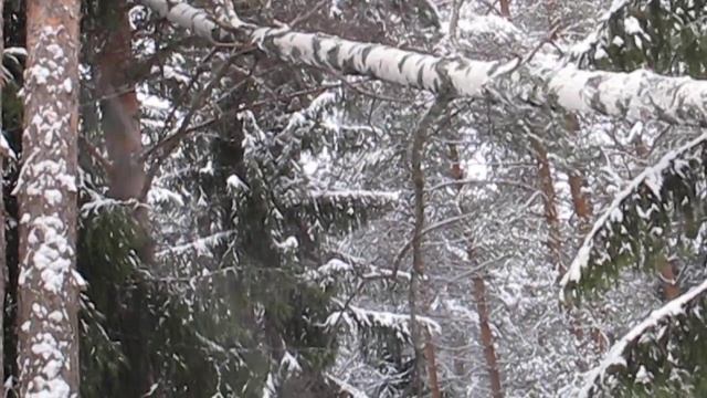 Валка дерева MVI_5535 У Марины. Рождество 2013.MOV смотреть онлайн