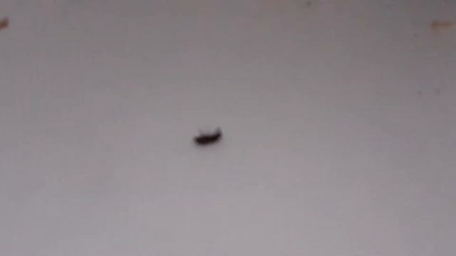 СтройМания