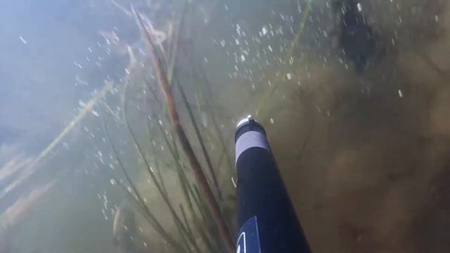 моя подводная охота (Antoha) смотреть онлайн