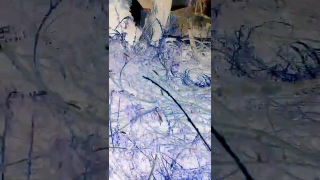 Ігра в реальному житті !!! смотреть онлайн