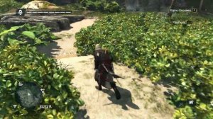 (179, 593) Карта Сокровищ Assassin's Creed 4 Black Flag