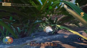 ГДЕ НАЙТИ СОСНОВУЮ ШИШКУ GROUNDED