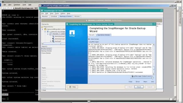 SnapManager for Oracle - Backup & Recovery смотреть онлайн