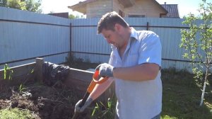 Как сажать вишню весной саженцами своими руками. Вишня в саду.