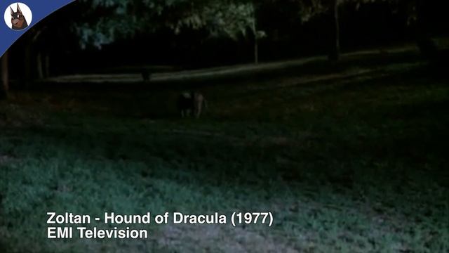 5 Cinema Movies with Dobermans - Part 3 смотреть онлайн