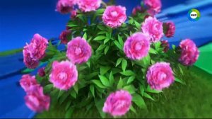 Заставки (Мир, июнь 2023)