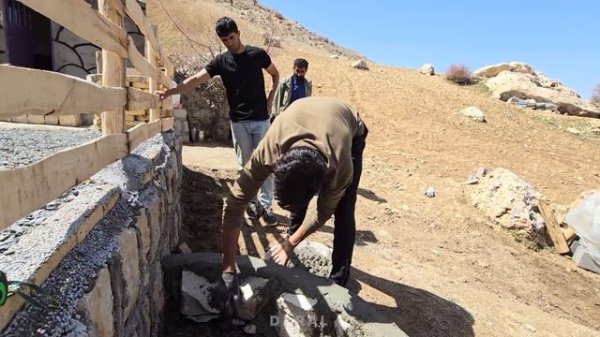 "Creating a Stunning Stone Garden: The Amir Family's Greenery Project"