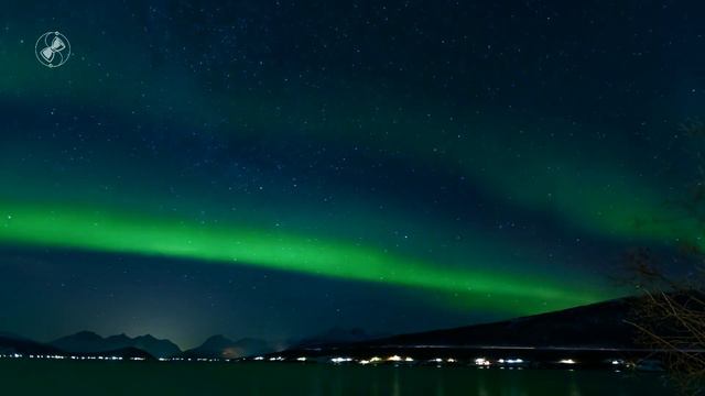 Мифы и символы ведической астрологии. Раздел 3.5. Лев смотреть онлайн