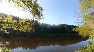 ЛОВЛЯ ГОЛАВЛЯ НА МАЙСКОГО ЖУКА ВЕСНОЙ ИЛИ КАК ЛОВИТЬ ГОЛАВЛЯ НА МАЙСКОГО ЖУКА