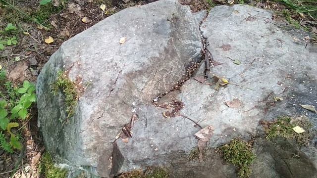 VID_20230803_120707.mp4 смотреть онлайн