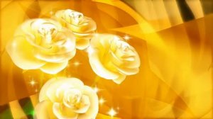 Белые розы фон футаж