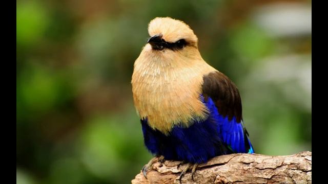 На ладони Божьей смотреть онлайн