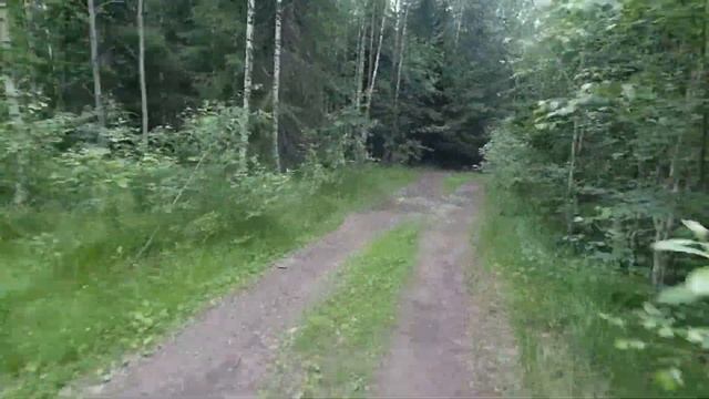 СОВА-175 В Родной Стихии. Покатушка По Лесу. смотреть онлайн
