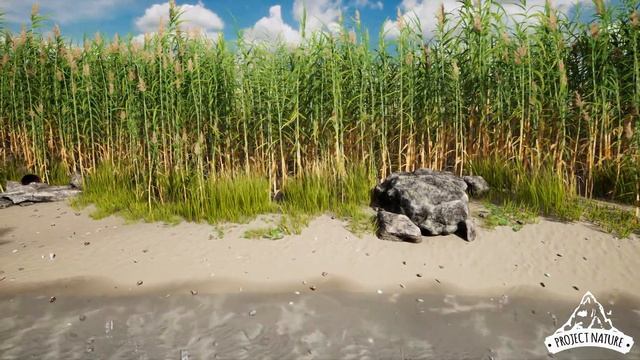 UE4 Ocean Beach Reed смотреть онлайн