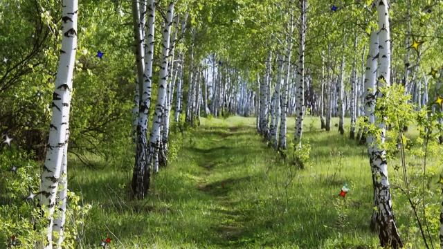 Г Погорельская Подари мне, судьба! Муз и аранж Н Жукова,ст В Буланцевой смотреть онлайн