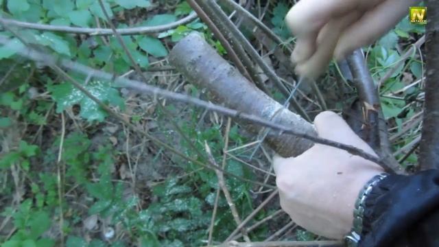 [Natalex] Тест пилки от электролобзика...