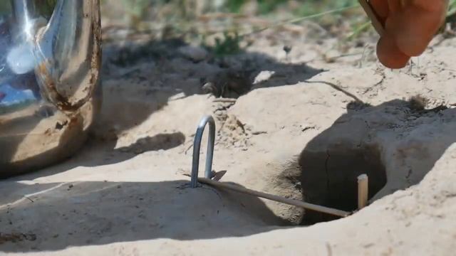 EASY SNAKE TRAP_ Creative DIY SnakeTrap Using Blue Pipe and Water Bottle That Work 100% #snaketrap смотреть онлайн