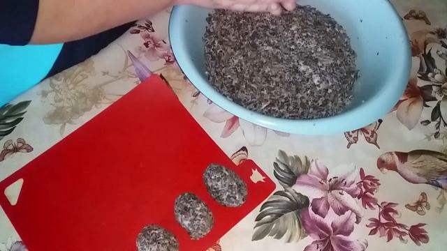 ГРИБНЫЕ КОТЛЕТЫ СО СВИНЫМ ФАРШЕМ. смотреть онлайн