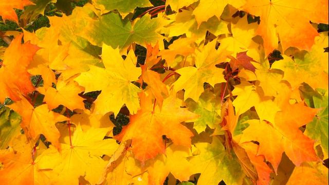 Tandas by DJ Xenia. Graciano Gómez. Vals. смотреть онлайн