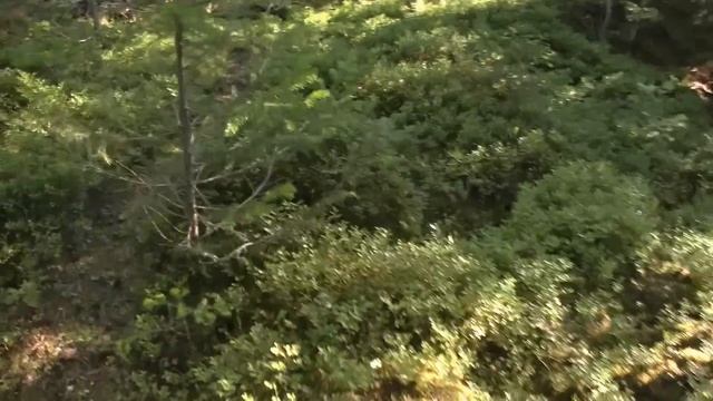 Поход на "Вишерскую Манарагу" или как мне Шудья Пендышей надавала) 2 часть #244 смотреть онлайн