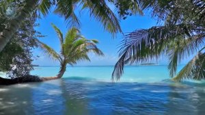 🌴 Ocean Ambience on a Tropical Island Maldives with Soothing Waves & Paradise View for Relaxation