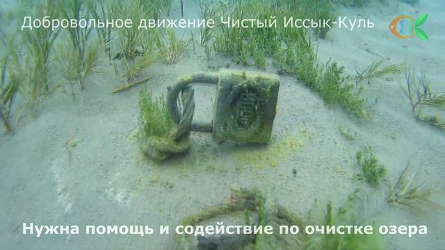 Rohat beach смотреть онлайн