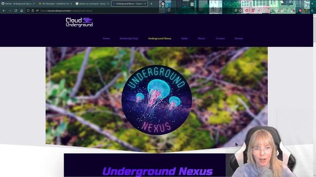 You don't have to be a software engineer to install Underground Nexus! смотреть онлайн