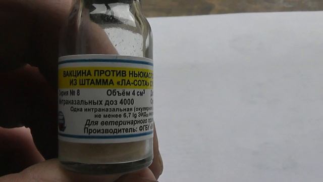 Вакцинация и профилактика болезней у цыплят смотреть онлайн