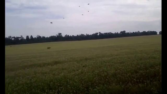 Первый день работы на гречке! Пчеловодство. смотреть онлайн