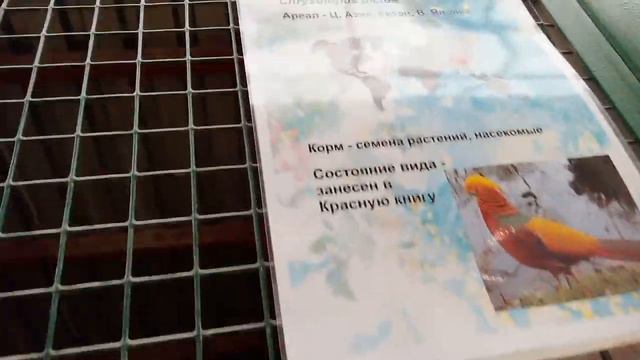 все 3 части зоопарка! смотреть онлайн