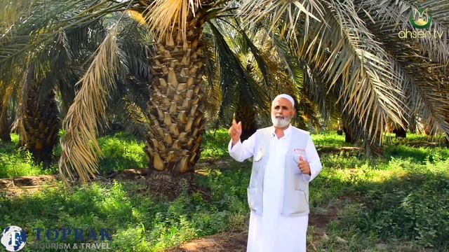 Hurmadaki Gizli Mucize - Çocuğu Olmayanlara Müjde, Sağlıklı Beslenme