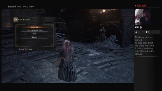 Dark Souls 3: Challange Run "Nur Peitsche" Teil 5 смотреть онлайн