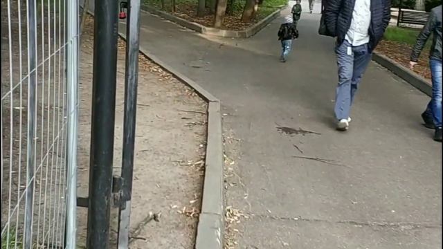 Развлечения детей в автогородке и веревочном парке FunГрад в Сокольниках смотреть онлайн