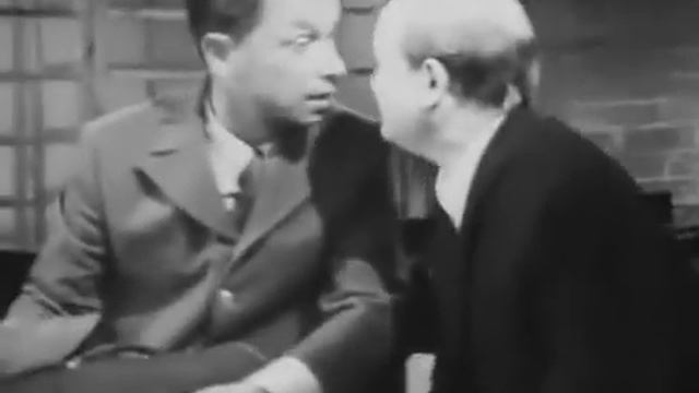 Смешные Собачки и Котики