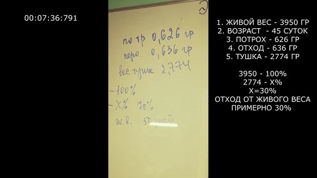 СМОТРЕТЬ ДО КОНЦА! РАЗДЕЛКА БРОЙЛЕРА! КАК ВЫГОДНО ВЫРАЩИВАТЬ БРОЙЛЕРА? РАСЧЁТ ЧИСТОЙ ПРИБЫЛИ смотреть онлайн