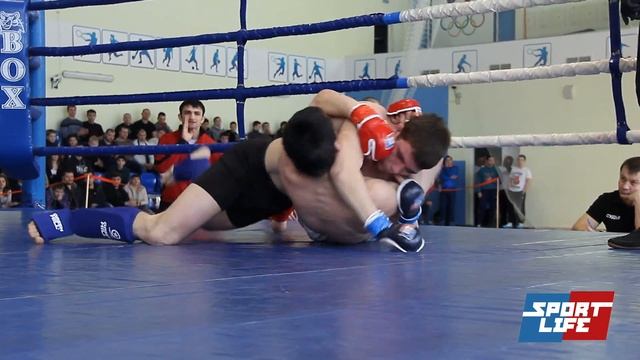 Sport Life 41 смотреть онлайн