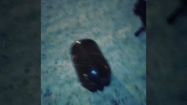 французский бульдог . Буленьки смотреть онлайн