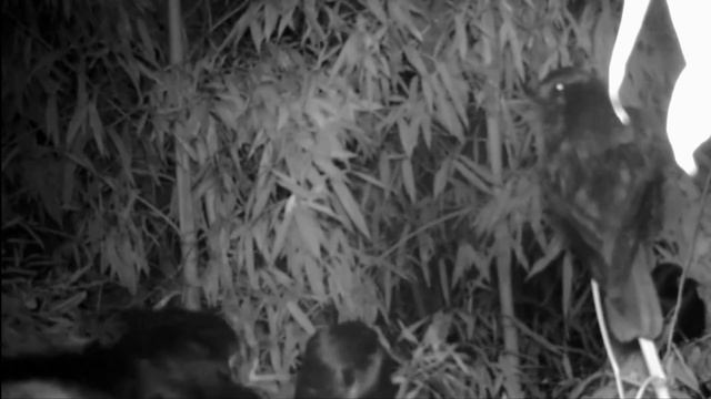 Антропоцен - Фильм 2. Техноископаемые - Научно-познавательный фильм смотреть онлайн