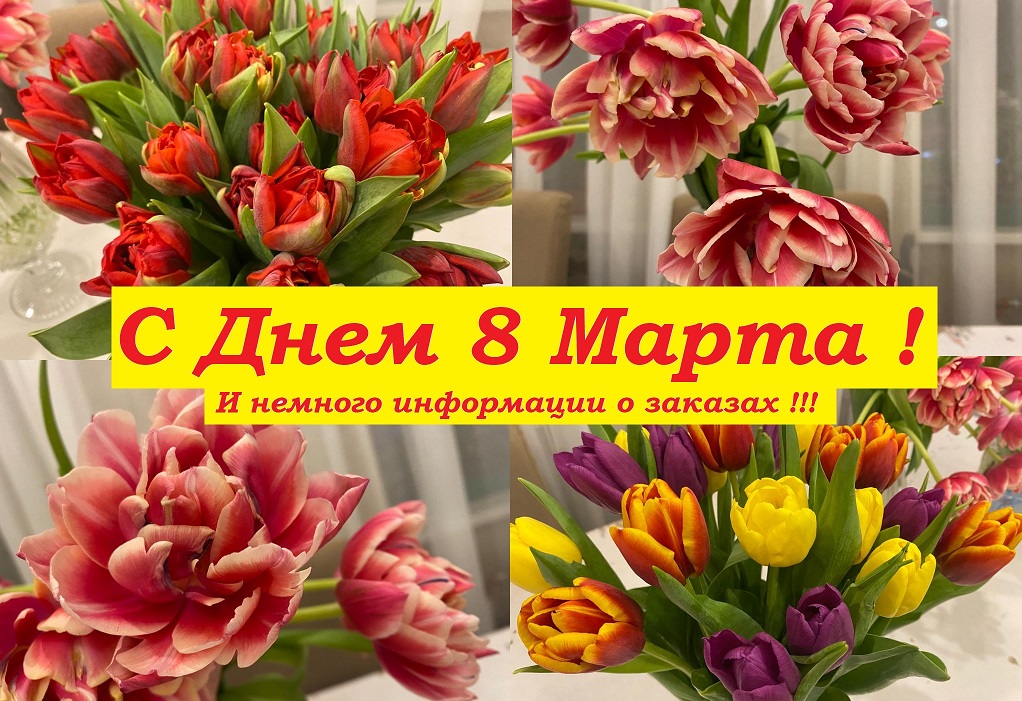 С Днем 8 Марта !!! И немного информации о заказах. смотреть онлайн