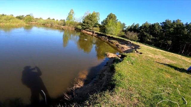 Щука после нереста | Спиннинг с берега на реке Неман | Твичинг на бейткастинг смотреть онлайн