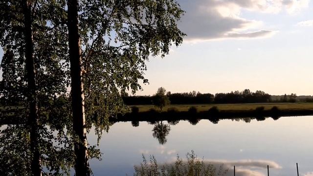 Наталья Потаева. Шум берёз. смотреть онлайн